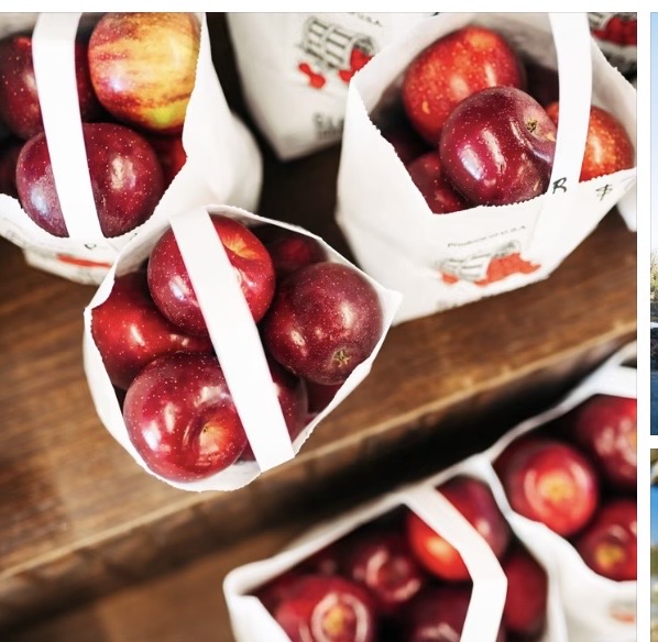 FOOD 101: It’s apples & cider season